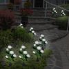 2Pcs Solar Powered Lights Outdoor Rose Flower LED Decorative Lamp