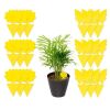 18/48 Pack Sticky Fruit Fly Trap and Fungus Gnat Traps Killer Non-Toxic and Odorless