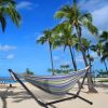 Hammock & Steel Frame Stand