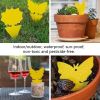 18/48 Pack Sticky Fruit Fly Trap and Fungus Gnat Traps Killer Non-Toxic and Odorless