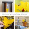 18/48 Pack Sticky Fruit Fly Trap and Fungus Gnat Traps Killer Non-Toxic and Odorless